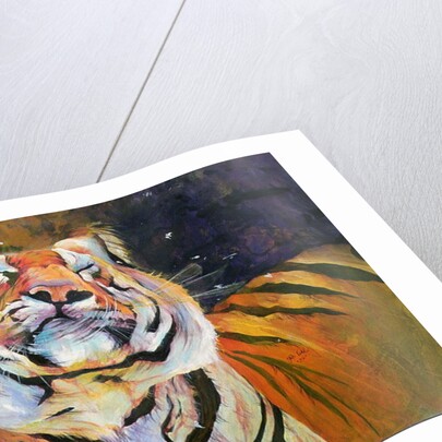 Tiger 1996 by Odile Kidd