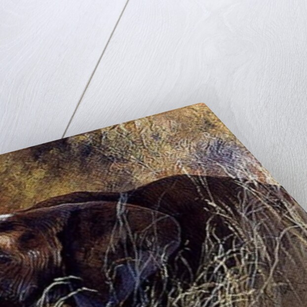 Bundu, 1998 by Odile Kidd