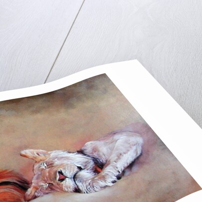 Siesta, 1999 by Odile Kidd