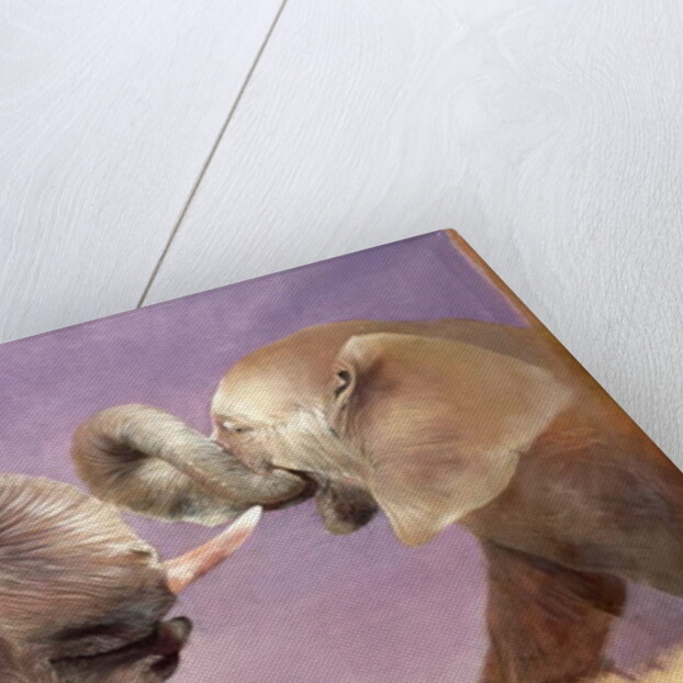 Elephants at Play, 2001 by Odile Kidd