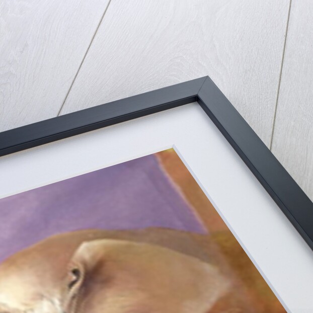 Elephants at Play, 2001 by Odile Kidd