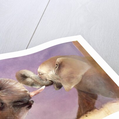 Elephants at Play, 2001 by Odile Kidd