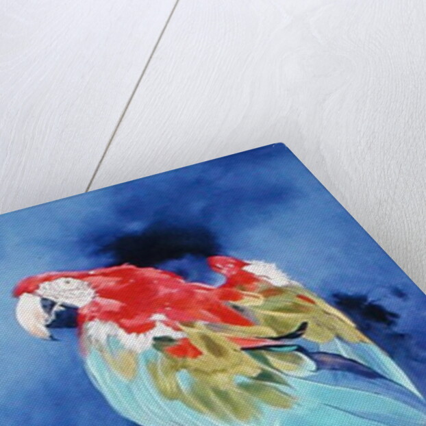 Red and Blue Macaw, 2002 by Odile Kidd