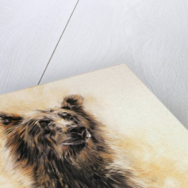 Grizzly Bear 1, 2002 by Odile Kidd