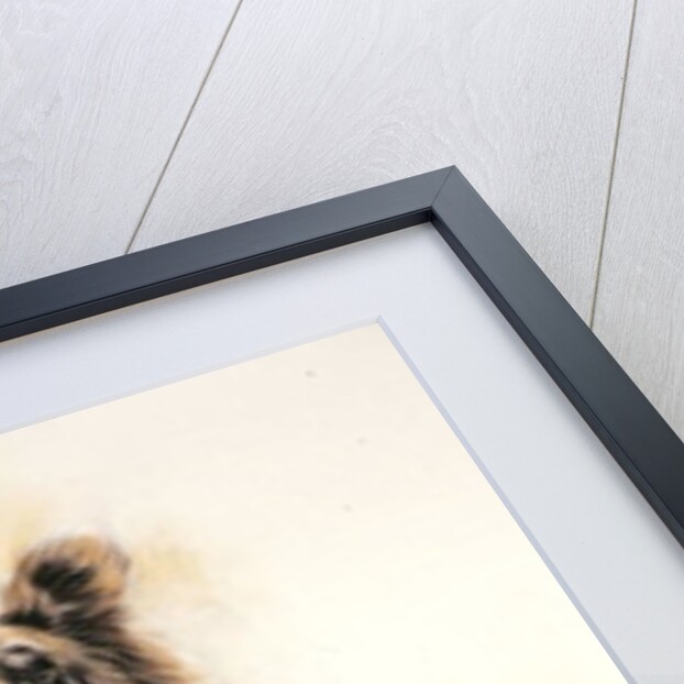 Grizzly Bear 1, 2002 by Odile Kidd