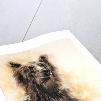 Grizzly Bear 1, 2002 by Odile Kidd