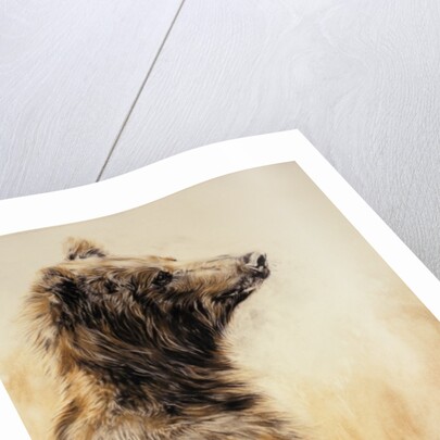 Grizzly Bear 2, 2002 by Odile Kidd