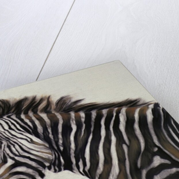 Zebra, 2002 by Odile Kidd