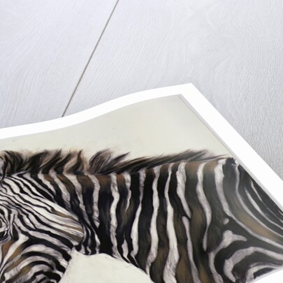 Zebra, 2002 by Odile Kidd