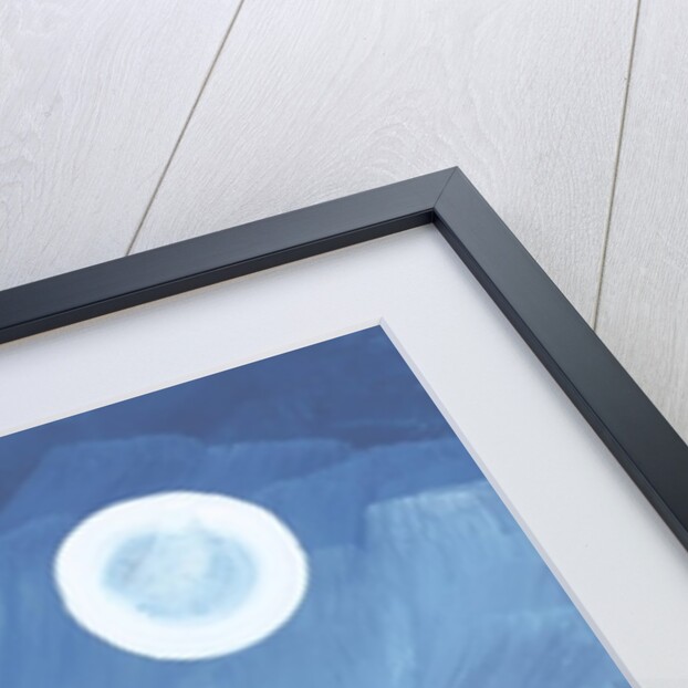 Natural Home, 2006 by Oglafa Ebitari Perrin