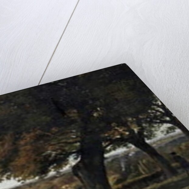 View from Richmond Hill with Wick on the left, 1837 by George Hilditch