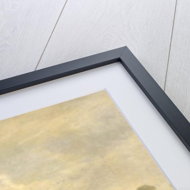 Twickenham Church looking downstream, 1800-30 by English School