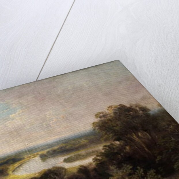 View down over Ham fields from top of Richmond Hill by James Lewis