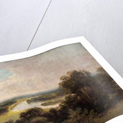 View down over Ham fields from top of Richmond Hill by James Lewis