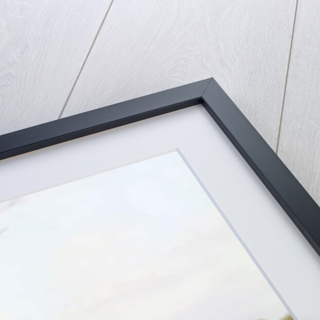 Christ Church, Oxford by Joseph Murray Ince