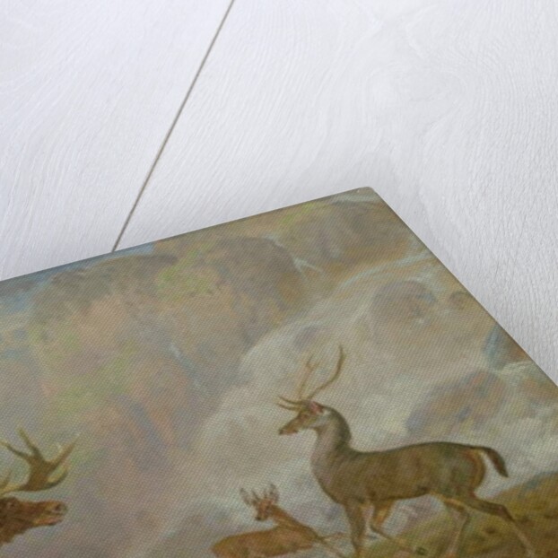 Earl of Orford's Elk, Antelope and Stag by George Garrard