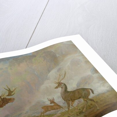 Earl of Orford's Elk, Antelope and Stag by George Garrard