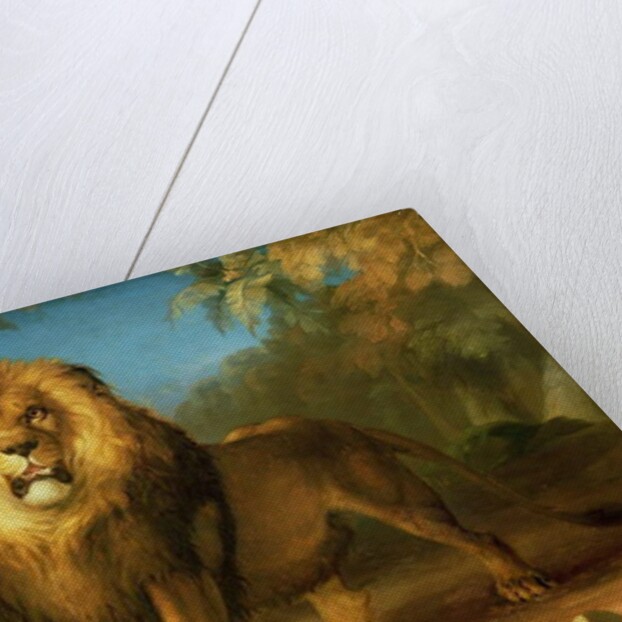 A Lion, 1840 by William Huggins