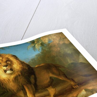 A Lion, 1840 by William Huggins