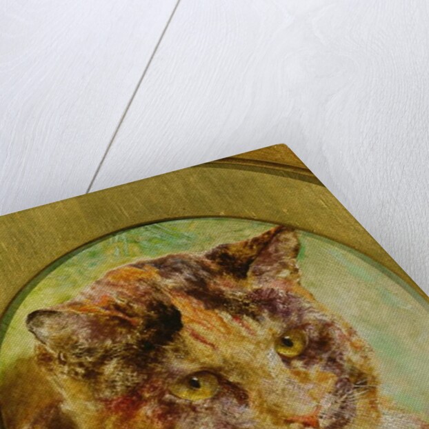 Study of a Tortoiseshell Cat by William Huggins