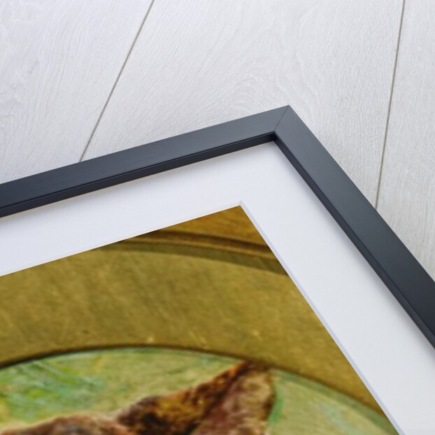 Study of a Tortoiseshell Cat by William Huggins