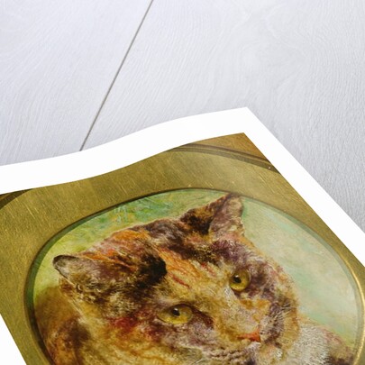 Study of a Tortoiseshell Cat by William Huggins