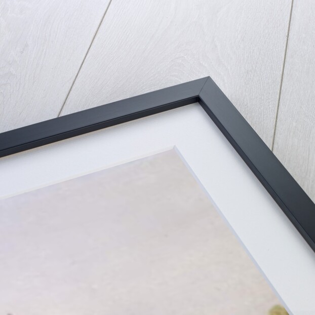 The House de Vraag, on the Amstel, Amsterdam by William R. Dommersen