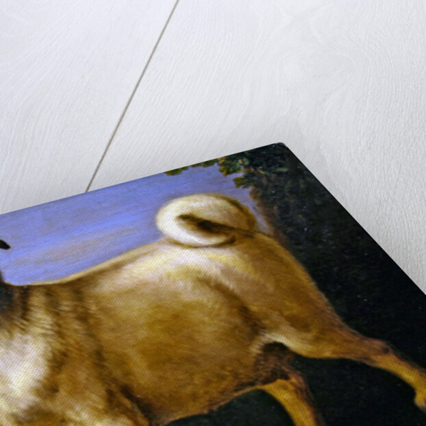 A Pug in a Landscape by John Wootton