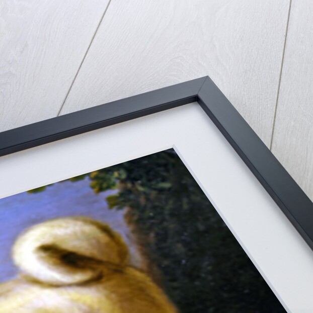 A Pug in a Landscape by John Wootton