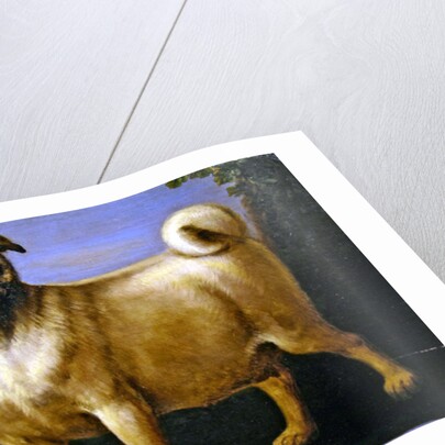 A Pug in a Landscape by John Wootton