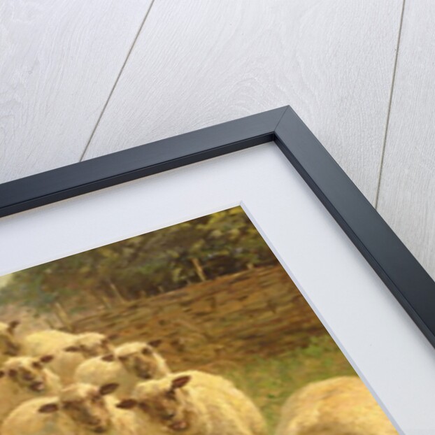 Sheep feeding from an upturned grain bag by William Gunning King