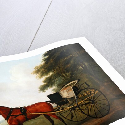 A Bay harnessed to a Tilbury by John Nost Sartorius