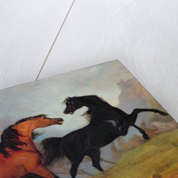 Horses fighting by Sawrey Gilpin