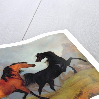 Horses fighting by Sawrey Gilpin