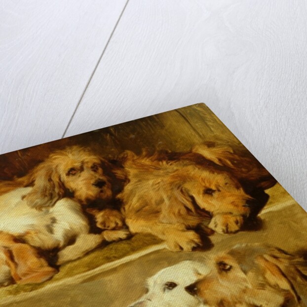 Hounds in a kennel by Edwin Landseer