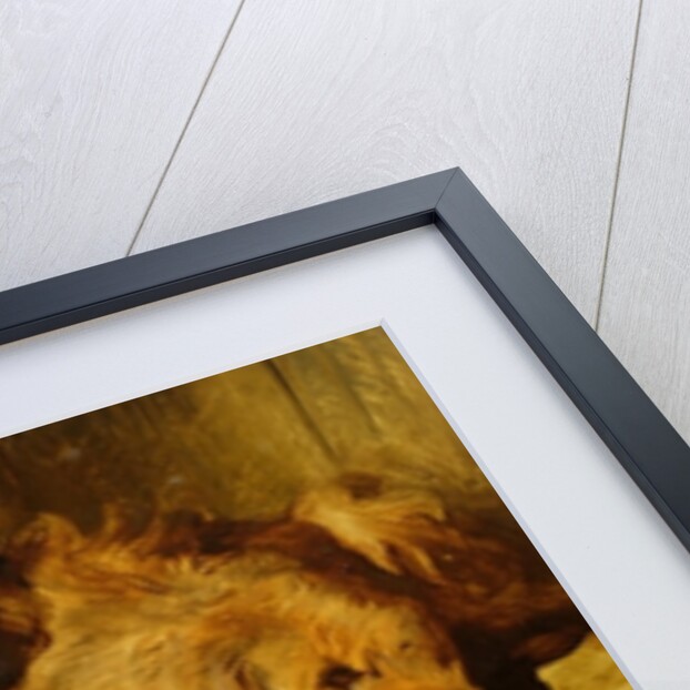 Hounds in a kennel by Edwin Landseer