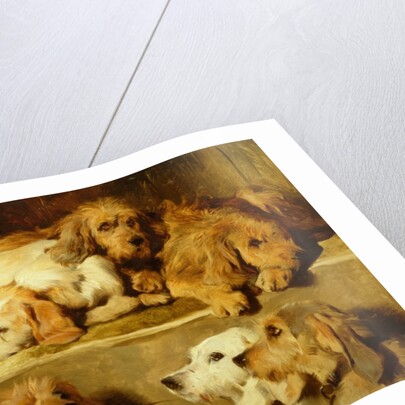 Hounds in a kennel by Edwin Landseer