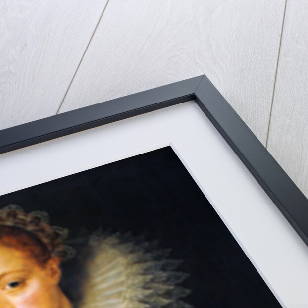 Portrait of a lady of the court of Queen Elizabeth I by Marcus Gheeraerts