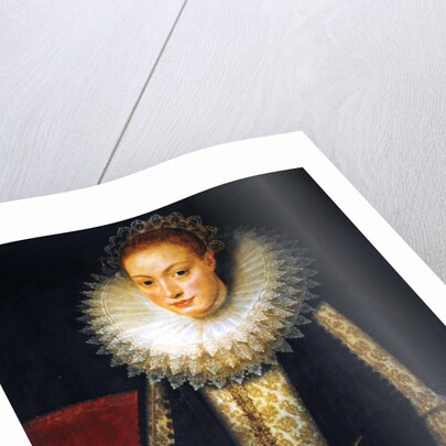 Portrait of a lady of the court of Queen Elizabeth I by Marcus Gheeraerts