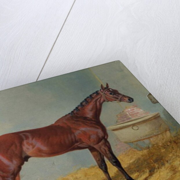 Mr S. Wrather's 'Nutwith' in a stable by John Frederick Herring Snr