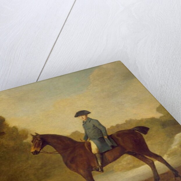 A gentleman on a bay hunter, 1771 by George Stubbs