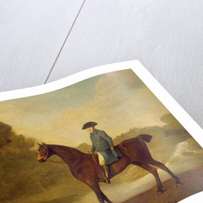 A gentleman on a bay hunter, 1771 by George Stubbs