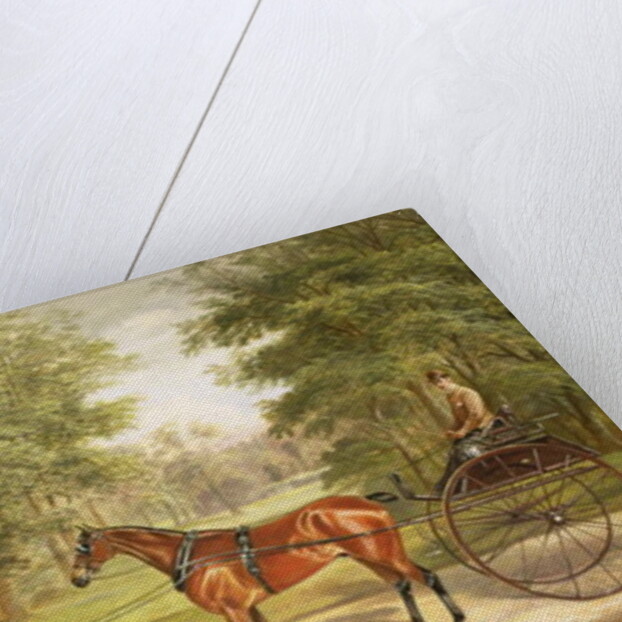 Two horses, harnessed in tandem, pulling a carriage, 1883 by Benjamin Cam Norton