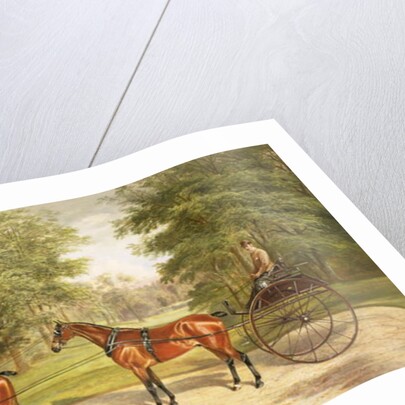 Two horses, harnessed in tandem, pulling a carriage, 1883 by Benjamin Cam Norton