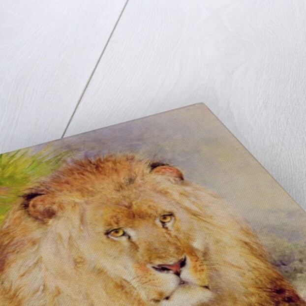 Lion by William Huggins
