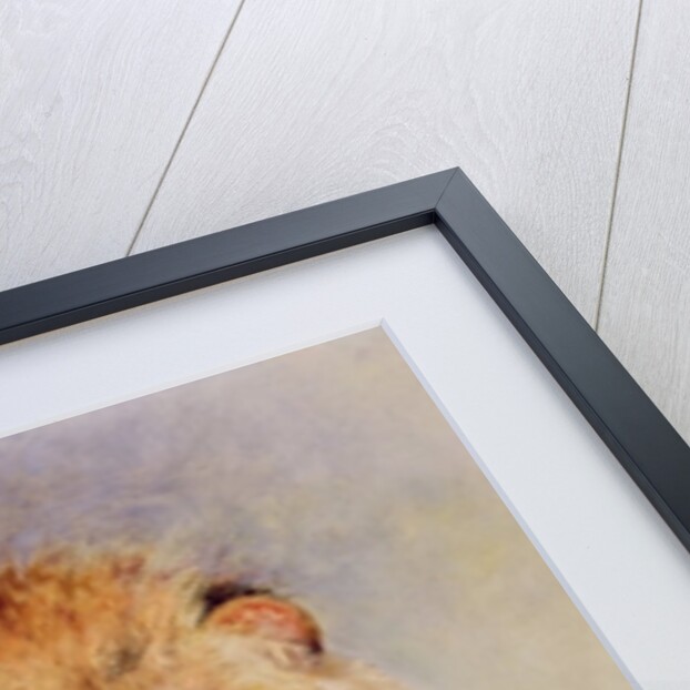 Lion by William Huggins