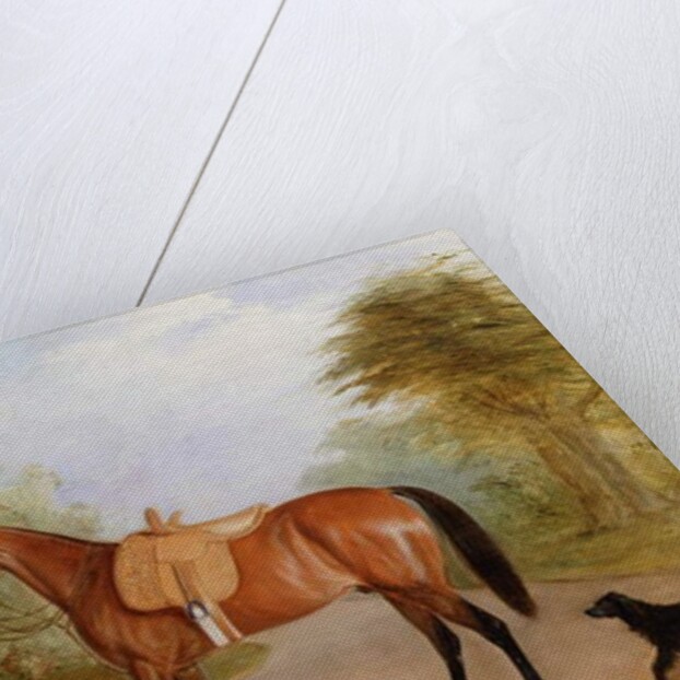 A Groom with a Horse by John E. Ferneley