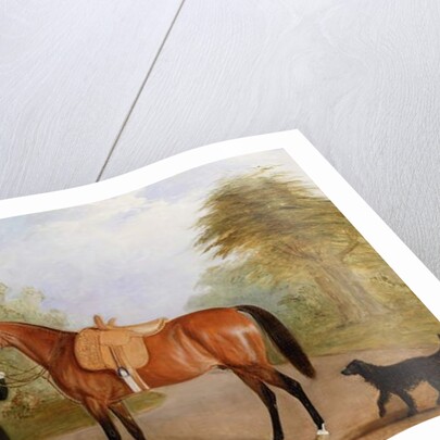 A Groom with a Horse by John E. Ferneley