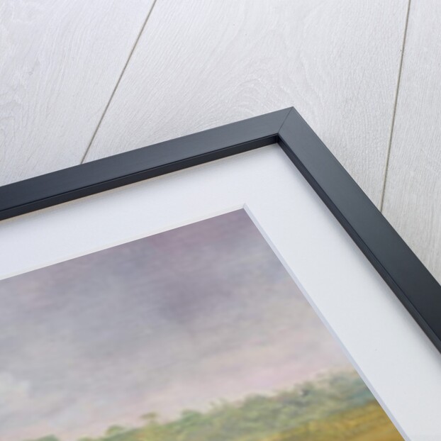 A Prize Ewe with monogram 'H', belonging to Mr J.A. Houblon, Hallingbury Place, Essex, 1812 by Abraham Cooper