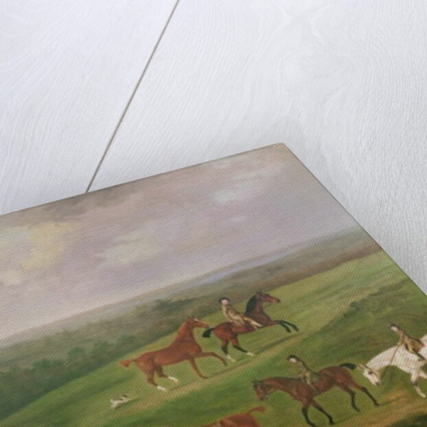 Horses at Exercise by J. Francis Sartorius